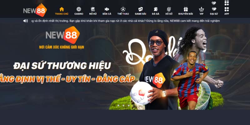 Nhận biết bảo trì new88